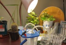 Centre Approves Rs 22 Crore Support For First Batch Of Green Hydrogen Startups Water Electrolysis Unit Hydrogen Fuel Cell